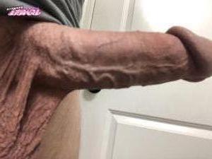 Synson's Cock image