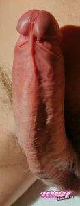 Nikaia06700's Cock image