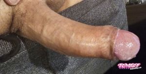 Jperiner's Cock image