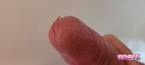 Cornstar's Cock image