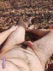 Pockrock's Cock image
