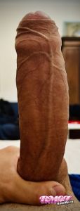 Spermdude99's Cock image