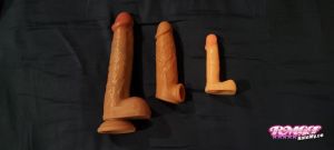 Cornstar's Sex Toy image