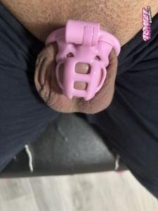 Trele's Cock image