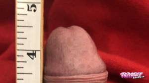 Hubbysph's Cock image
