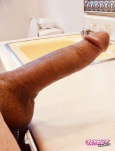 Funyankeeboy420's Cock image