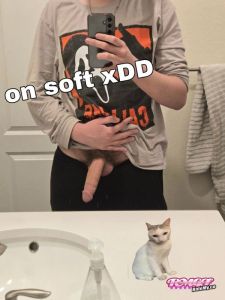 Plsrateme2's Cock image