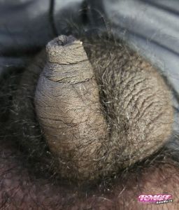Littlejoey6969's Cock image