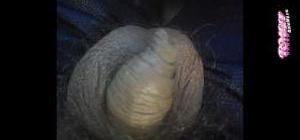 Littlejoey6969's Cock image