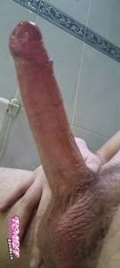 Justaguy101's Cock image