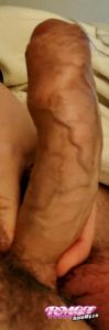 Hornyguy69clc's Cock image