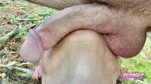 ACock's Cock image