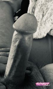 Swilke's Cock image