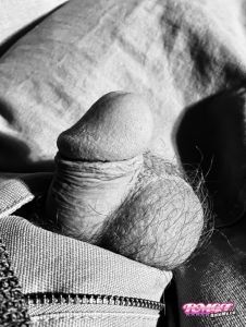 Swilke's Cock image