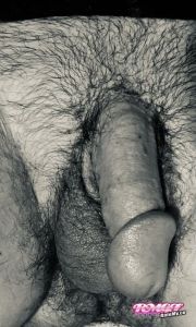 Swilke's Cock image