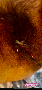 Willdom's Pussy image
