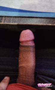 Nomisted's Cock image