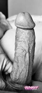 Thrusty321's Cock image