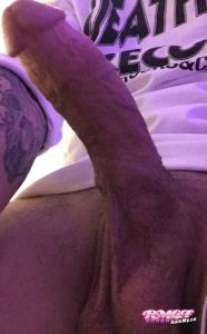 AlpgaNerd's Cock image