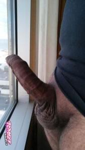Puertoricanpapi's Cock image