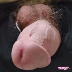Dickie408390's Cock image