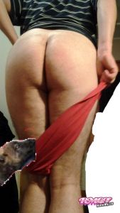 AndrewJZealand's Ass image