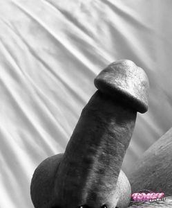 Swilke's Cock image