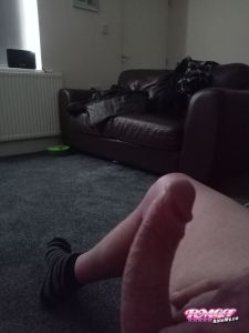 Nicehardcock's Cock image