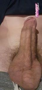 Vgas2008's Cock image