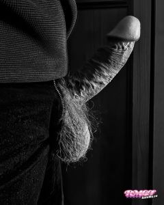 EightPFive's Cock image