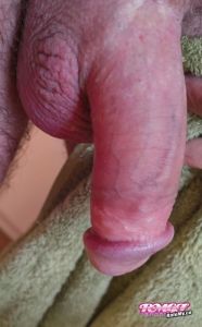 RFA69's Cock image