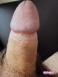 FK24's Cock image