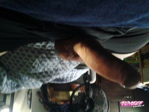 Sancho's Cock image