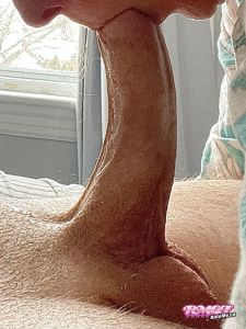 ACock's Cock image