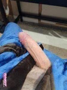 Yumyum's Cock image