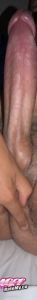 Mrbozes's Cock image