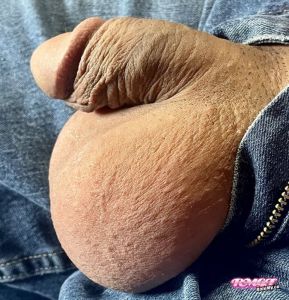 Idfc1994's Cock image