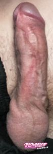 Scottie's Cock image