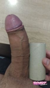 Alpaca's Cock image