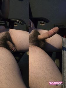 Thebeeisfat's Cock image