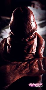 Valsinarb's Cock image