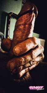 Valsinarb's Cock image
