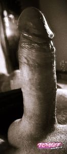 Valsinarb's Cock image