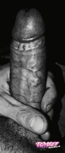 Valsinarb's Cock image