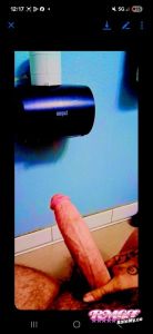 BigDickBandit's Cock image