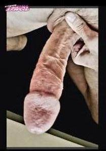 Homeboy08's Cock image