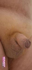 Bigcudlee's Cock image