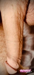 Meatymeat's Cock image