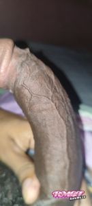 ThommyVercetti's Cock image