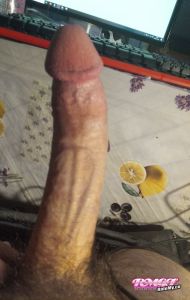 Cockinsky's Cock image